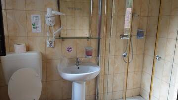 Фото номера Семейный полулюкс Гостевой дом Conacul Bunicilor г. Байя-де-Фьер 2