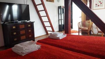Фото номера Attic Family Suite with Balcony Гостевой дом Conacul Bunicilor г. Байя-де-Фьер 2